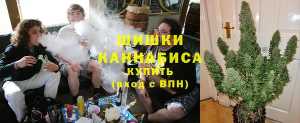СК Алзамай