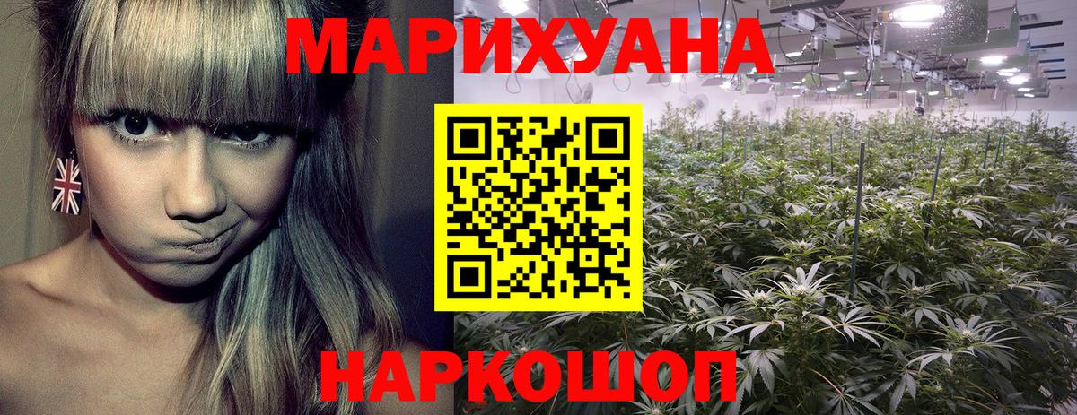 Канабис сатива Егорьевск